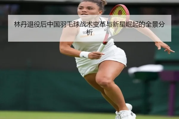林丹退役后中国羽毛球战术变革与新星崛起的全景分析